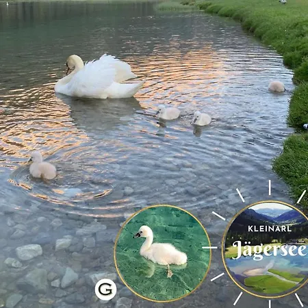 Guggenberger 4* Kleinarl