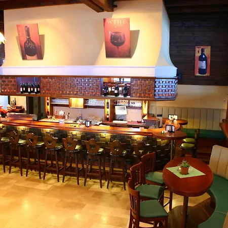 古根伯格酒店 4* 克雷纳尔