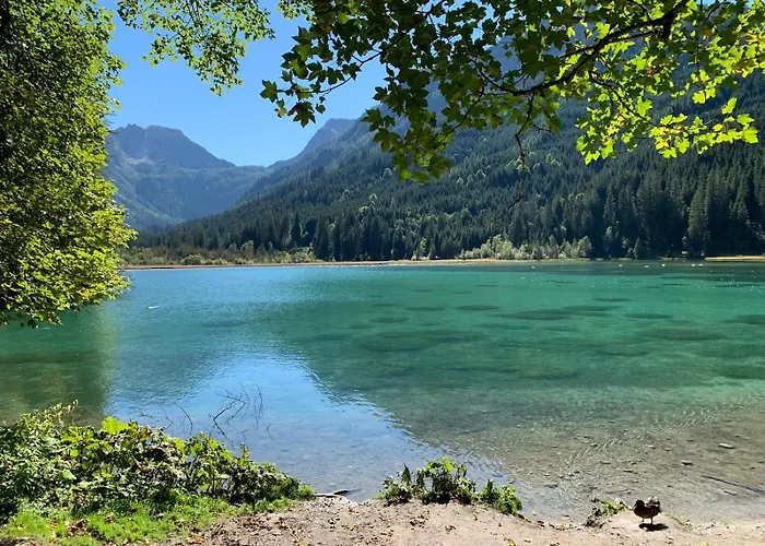 Guggenberger クライナル