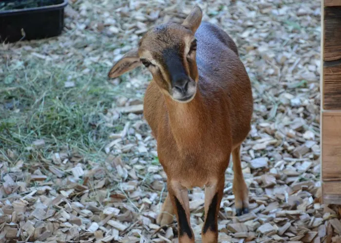 Guggenberger ホテル